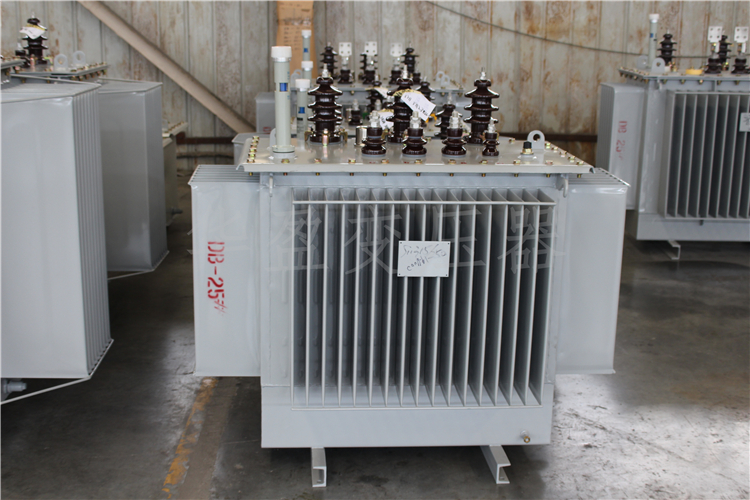 毕节S20-800kVA/10kV/0.4kV变压器